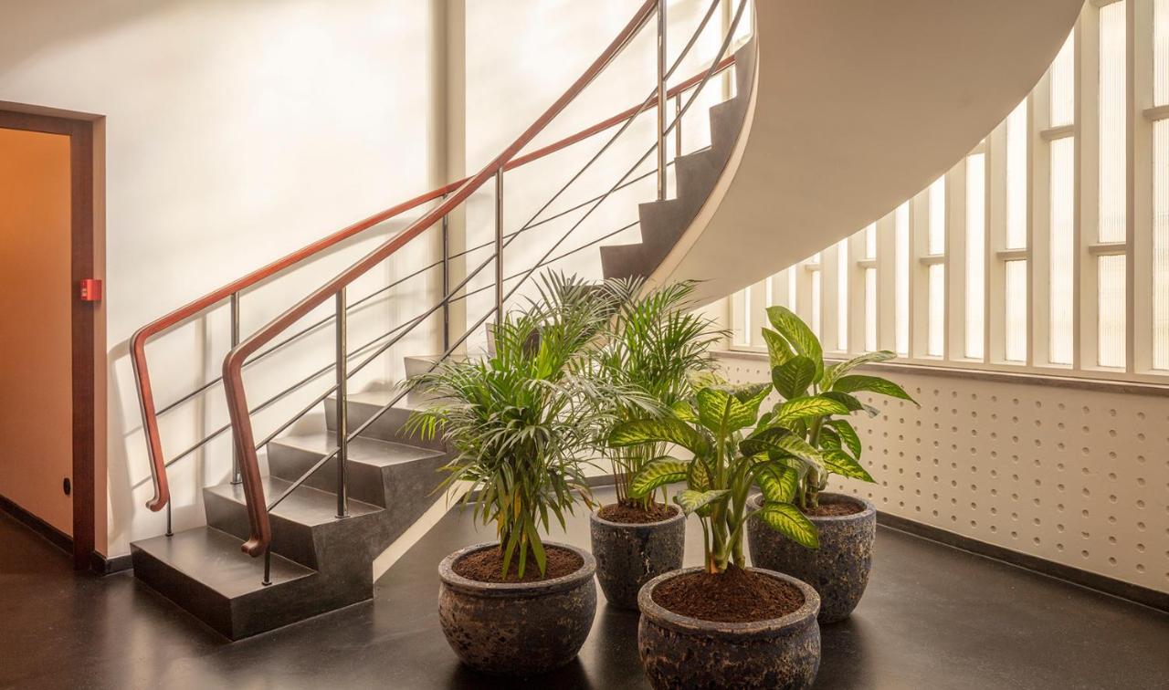 Ceuta Terrace Suites ปอร์โต ภายนอก รูปภาพ